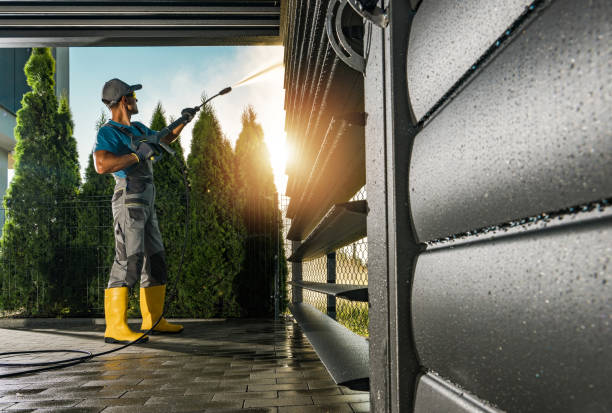Best Roof Power Washing Services  in Wooster, AR