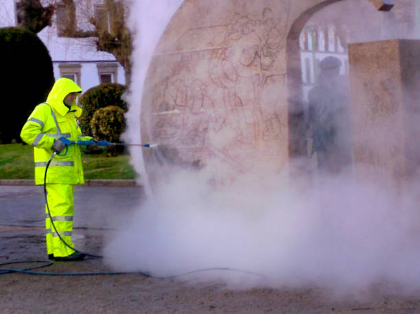 Best Roof Power Washing Services  in Wooster, AR
